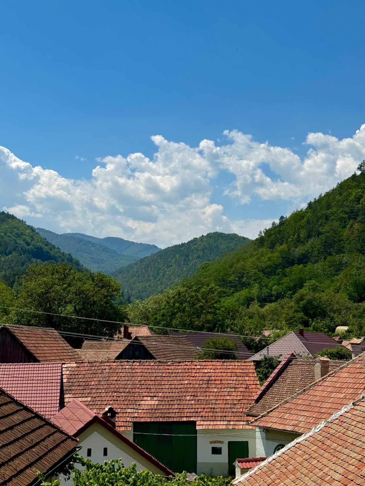 Casa Presecan Tălmaciu Kültér fotó